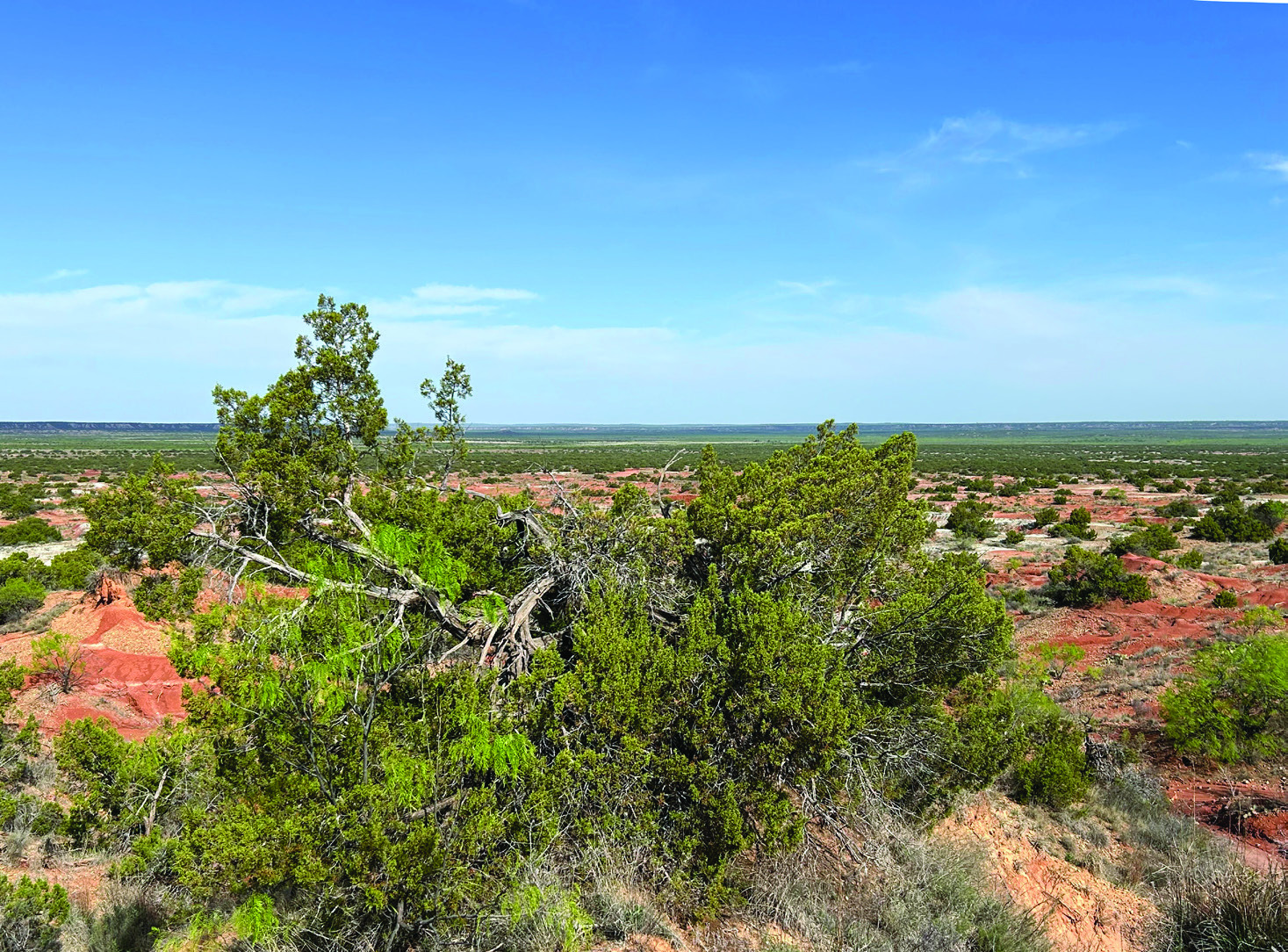Earth Day celebration planned for April 26 at Jim Bob Art Park
