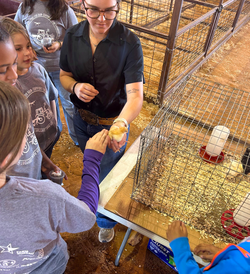 CHICK IT OUT! Representatives of local Texas Farm Bureau offices—with the help of sponsors in Knox and Seymour communities—gave schoolchildren a chance to see aspects of ag operations close up last Friday at the Cliff Styles Activity Center in Seymour. MORE PHOTOS, PAGE 8 | TROY PARTON PHOTOS