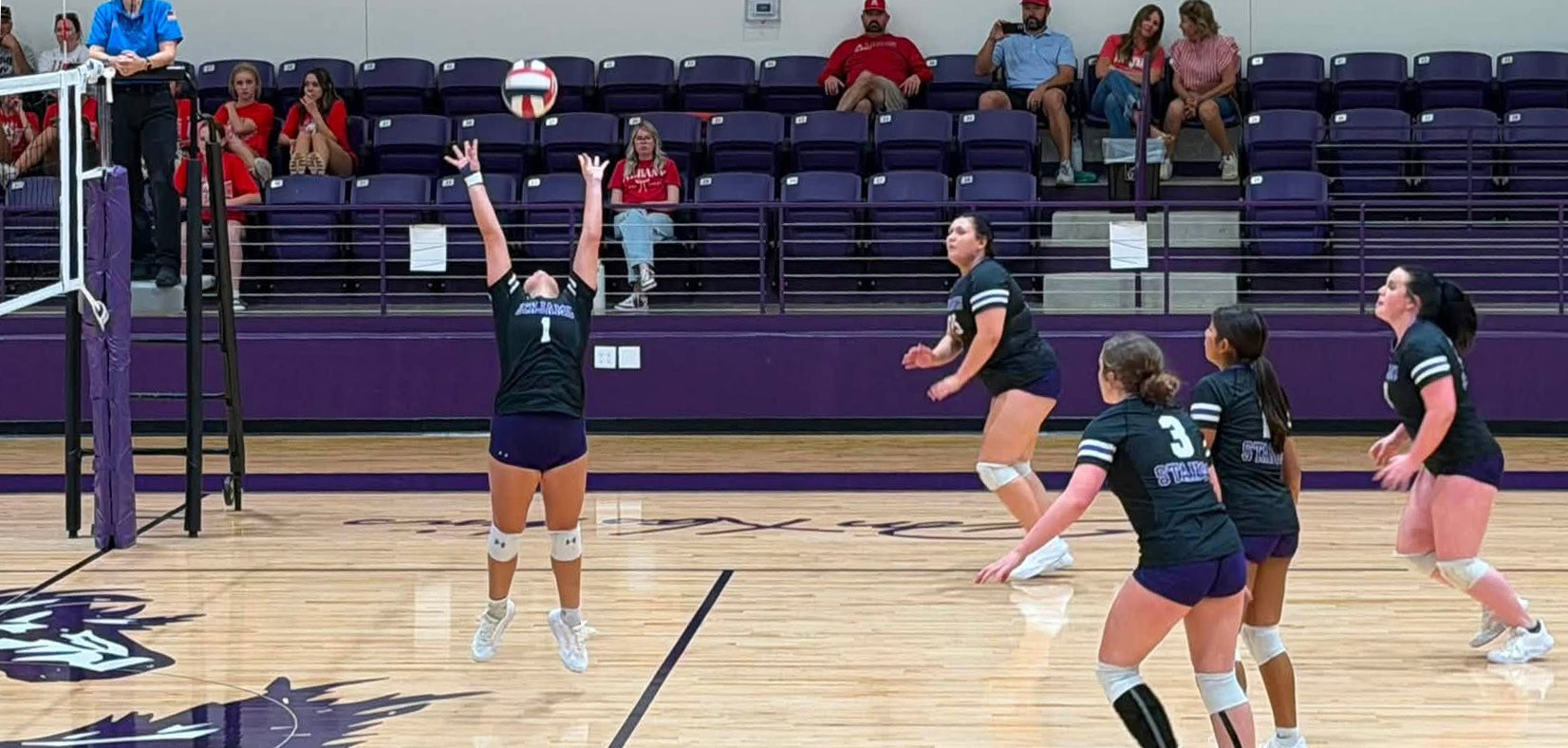 REACH FOR THE SKY In action against Albany this Lady Stang stretches to keep the ball in play, setting it for a teammate. Benjamin lost in 3 sets.