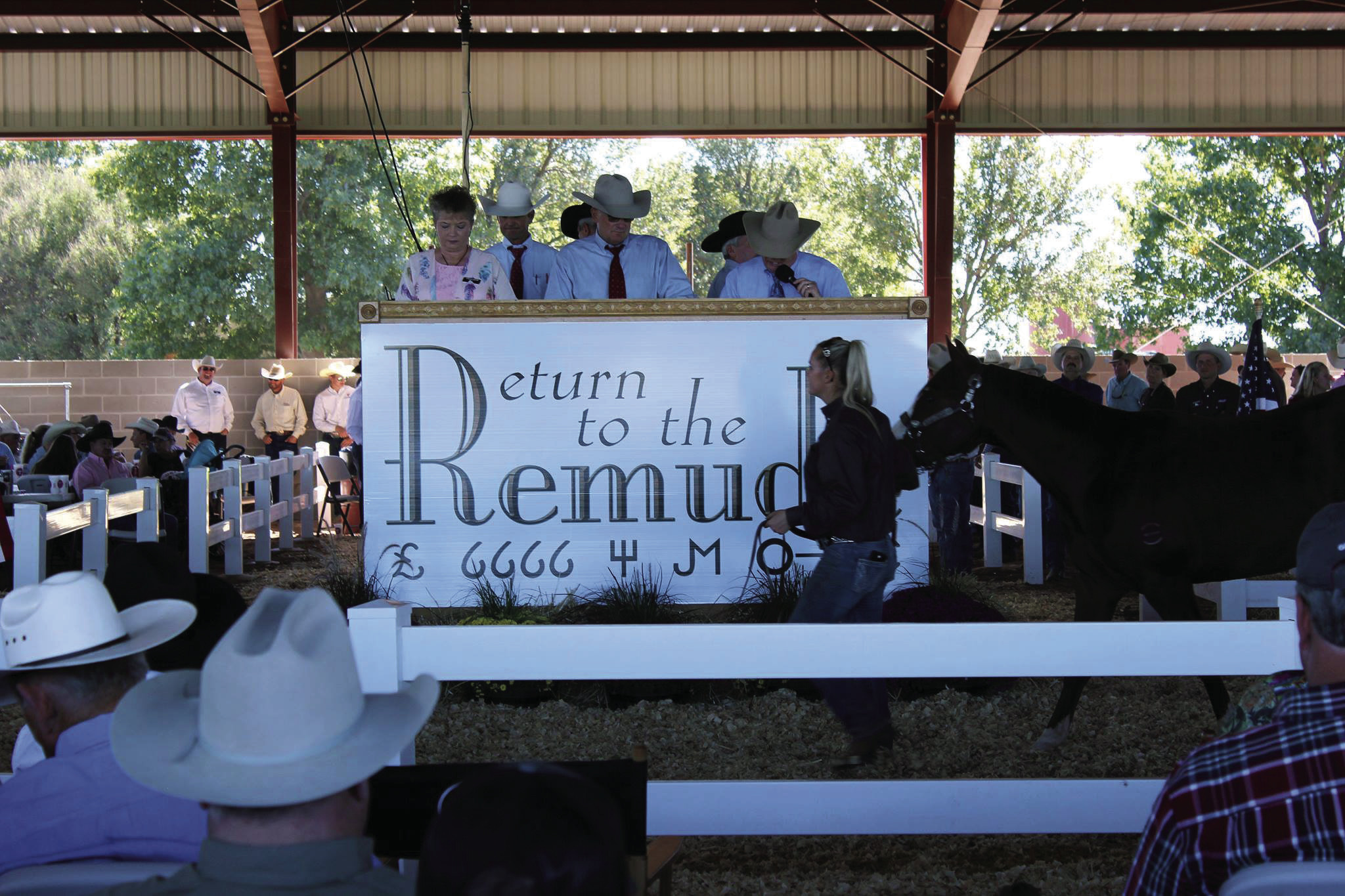 25th ANNUAL Marking its silver anniversary, this year’s Return to the Remuda sale promises to feature an exceptional selection of ranch horses from renowned breeders. Approximately 180 horses will be offered to the public from the legendary ranches of Beggs Cattle Company, Four Sixes Ranch,Tongue River Ranch, Pitchfork Land, and Cattle Company, King Ranch andWagonhound Land &amp; Livestock.The demonstrationwillbeonSeptember27,andthesalewillfollowonSeptember28. | COURTESYPHOTO