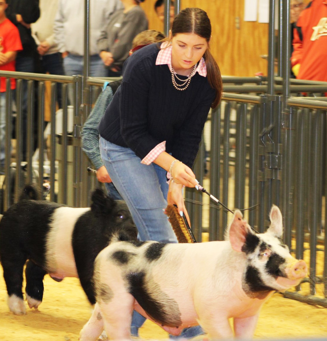 RABBITS, SWINE AND MORE