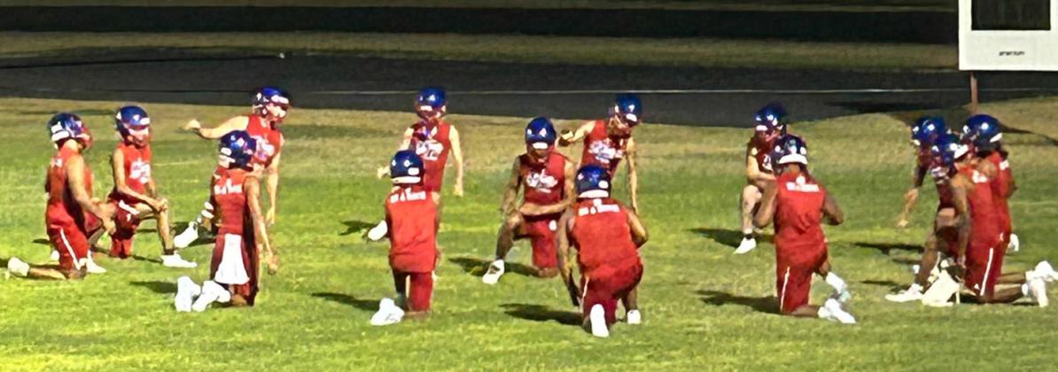 FOURTEEN STRONG, the Greyhounds expect to be a force to reckon with in District 9.