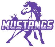 Lady Stangs to begin basketball season this week