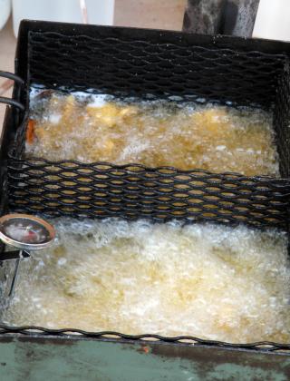 SPOTLIGHT ON KNOX FISH FRY