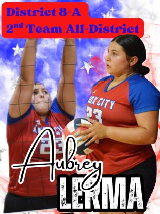 SPOTLIGHT ON KNOX CITY VOLLEYBALL