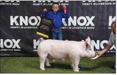 SWINE, THOMAS RAMOS ,RESERVE GRAND CHAMPION, LIGHT CROSS SWINE