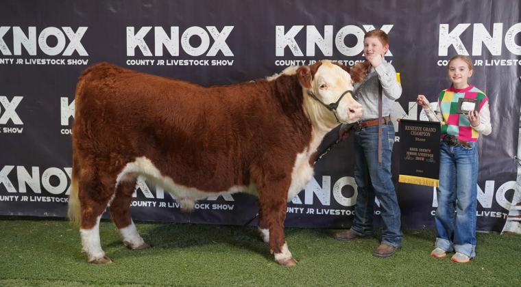 CATTLE: WYLDER HAGER, RESERVE GRAND CHAMPION, STEER