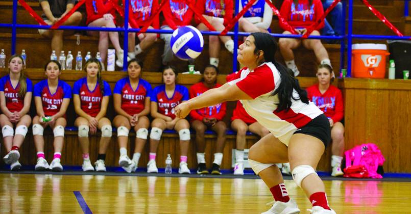 Reyna Alvarez digs deep for the return. | SHERI BATY PHOTO