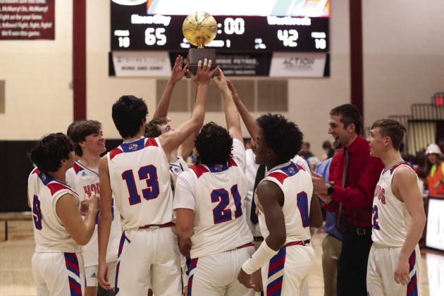 Greyhounds win Area