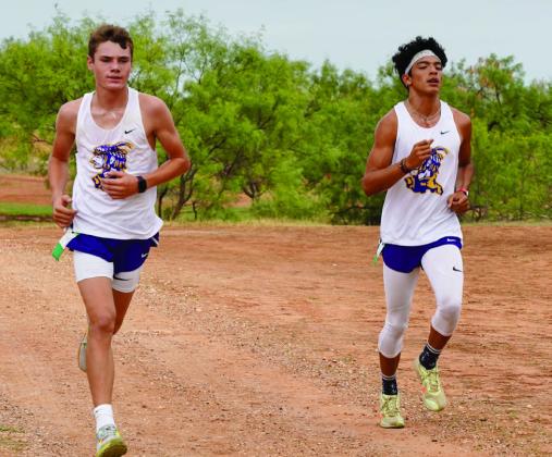 Greyhounds top Motley County