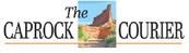 Texas Press Association awards recognize 2024 newspaper issues