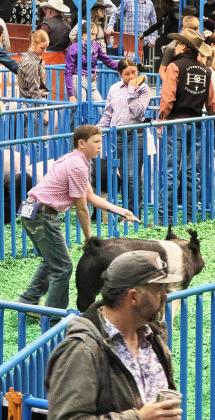 STOCK SHOW SEASON FINALE