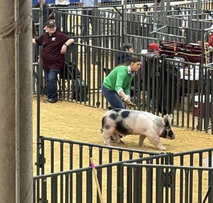 STOCK SHOW SEASON FINALE