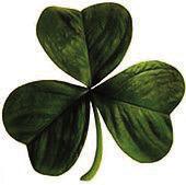 Saint Patrick’s Day March 17th