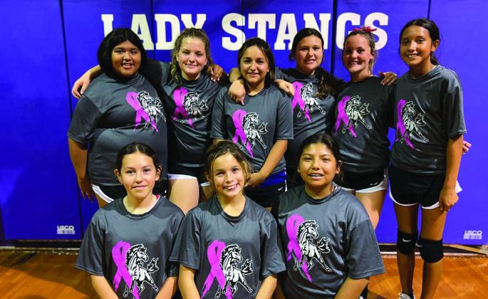 Junior High Lady Stangs Couttesy Photo