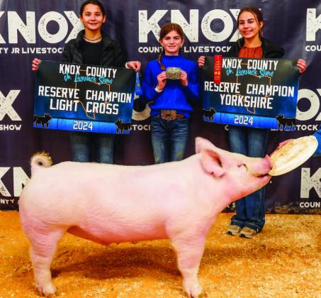 KNOX COUNTY JUNIOR LIVESTOCK SHOW 2024