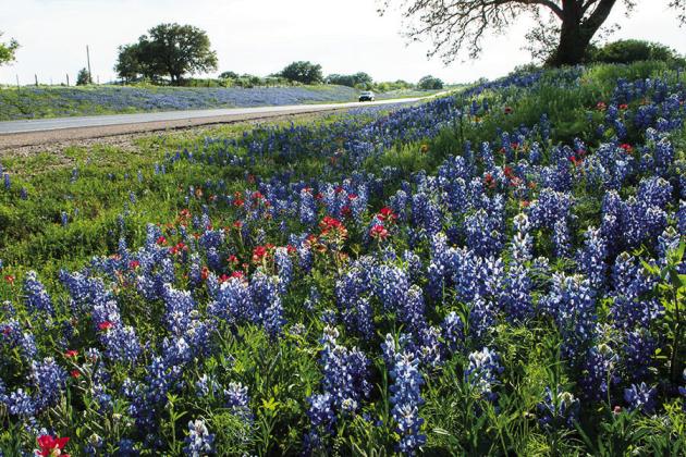 Hill Country blues