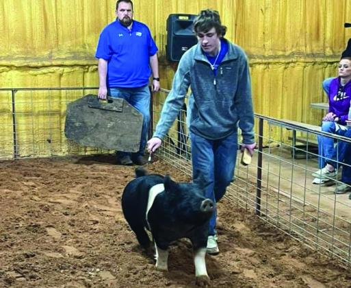 Utley wins Grand and Reserve Champion at Knox City local stock show