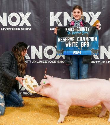 Junior Livestock Show Winners