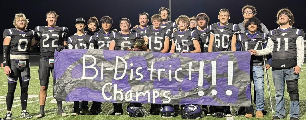 • The Mustangs punched their ticket to regional competition by trouncing the Balmorhea Bears to claim the Area gold ball.