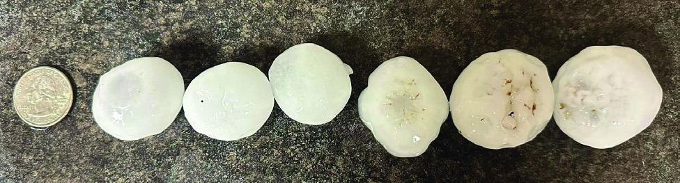 Quarter to golf ball size hail | | EDDIE BURBANK