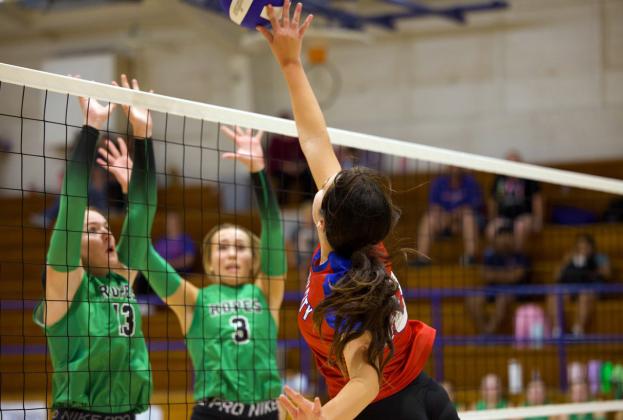 HOUNDETTES GET THE KILL Savannah Friddle goes for the kill against Ropes in last week’s game. | SHERI BATY PHOTO