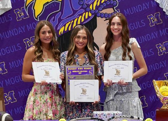 VOLLEYBALL HONORS