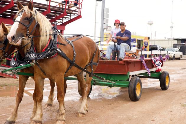 Poppy's Ponies takes to the wet trails