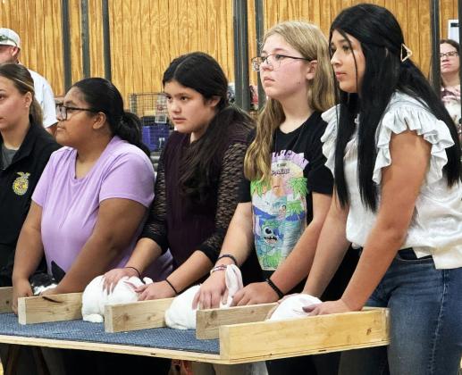 RABBITS,SWINEANDMORE This past weekend, Jan. 9-10, 2026, Knox County held the annual Livestock Show. A great time was had watching all these students from the area showcase the animals they have worked so hard to raise and get ready for this show. Readers can look forward to the News-Courier’s special Jan. 30 issue showcasing the winners, posting show results, and offering congratulations from the community. | COURTESY PHOTOS