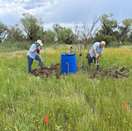 Wildflower garden dedicated to memory of Sydney Kuehler
