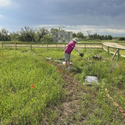 WILDFLOWER GARDEN IN THE WORKS The Jim Bob Art Park &amp;amp; NatureTrails had Ryan Copeland out in June to help with designing the garden and managing water flow in the wildflower garden dedicated to Sydney Kuehler. | COURTESY PHOTOS