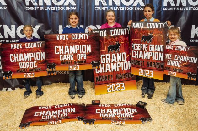 Exhibitors Take Home More Than Banners and Buckles from the Knox County Junior Livestock Show