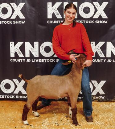 KNOX COUNTY JUNIOR LIVESTOCK SHOW 2024