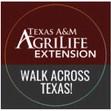 Walk Across Texas underway