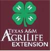 AgriLife programs bring training, skills, fun to county schools