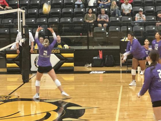 SPOTLIGHT ON LADY STANGS VOLLEYBALL