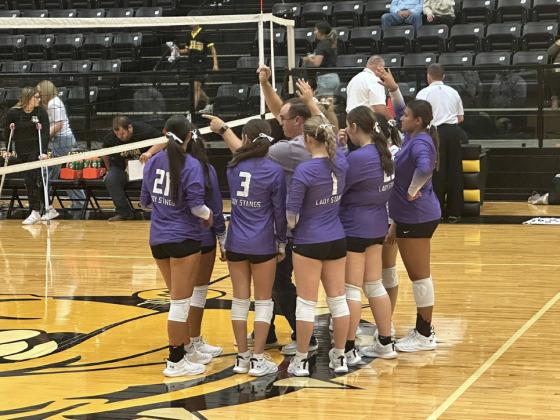 SPOTLIGHT ON LADY STANGS VOLLEYBALL