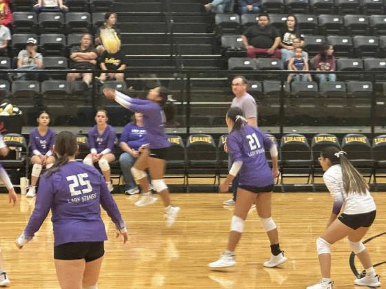 SPOTLIGHT ON LADY STANGS VOLLEYBALL