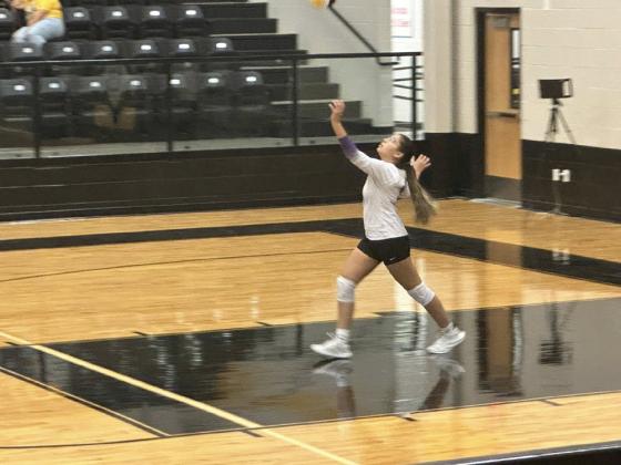 SPOTLIGHT ON LADY STANGS VOLLEYBALL