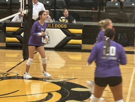 SPOTLIGHT ON LADY STANGS VOLLEYBALL