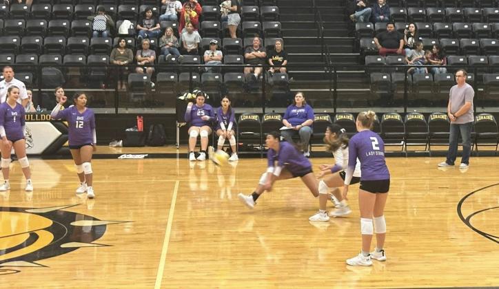 SPOTLIGHT ON LADY STANGS VOLLEYBALL