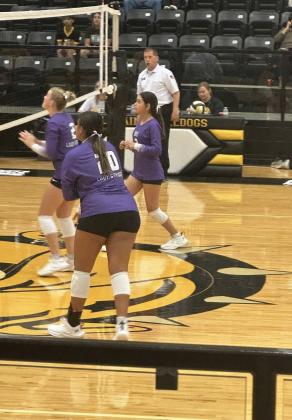 SPOTLIGHT ON LADY STANGS VOLLEYBALL