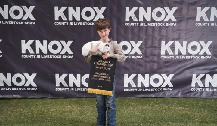 RABBITS, MASON GROVES, GRAND CHAMPION, SINGLE FRYER