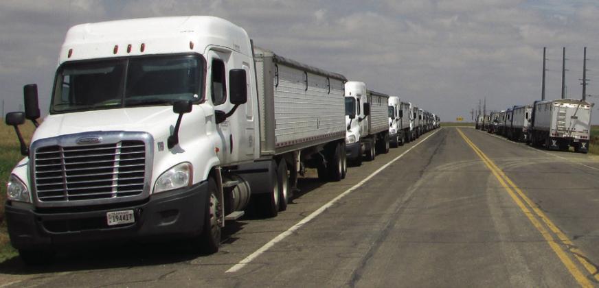 Trucks and crews sitting idle, unable to harvest wheat due to extended periods of rain. Don Thompson/The Knox County News-Courier