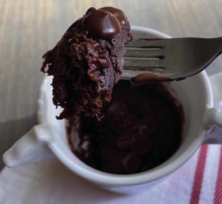 Chocolate Mug Brownie Cake
