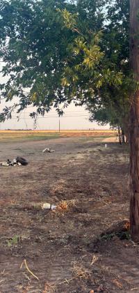 VOLUNTEERS WORKED TO CLEANUP what will be the new drive and parking area for the newMYSAcomplexinMunday. | TROY PARTON