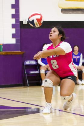 Railee Arrietta digs deep in the back court.