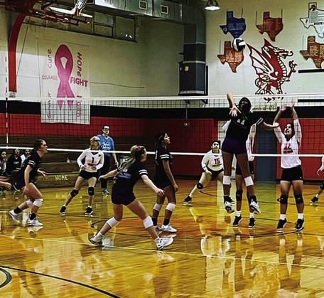 LADY STANGS Senior middle hitter #11Valeria Zavala going for a hit. | SUE JANE SULLIVAN PHOTO