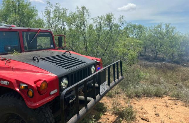 BENJAMIN GRASS FIRE