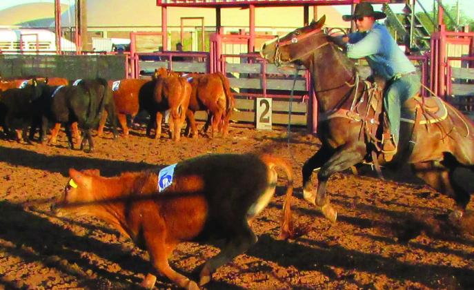 Knox Prairie Ranch Rodeo winners